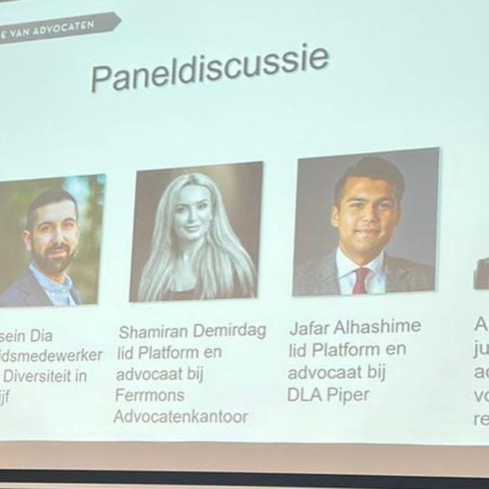 Paneldiscussie van het Platform D&I